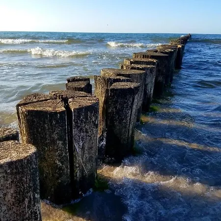 Zingst Achtern Diek 12D Elly Zewnętrze zdjęcie