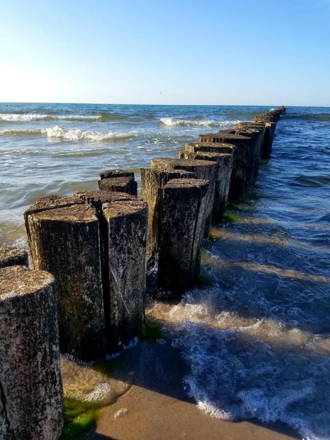 Achtern Diek 12d Elly Zingst
